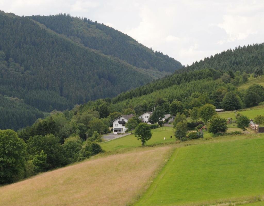 Dümpelhof Ferienwohnungen Olsberg Exterior foto