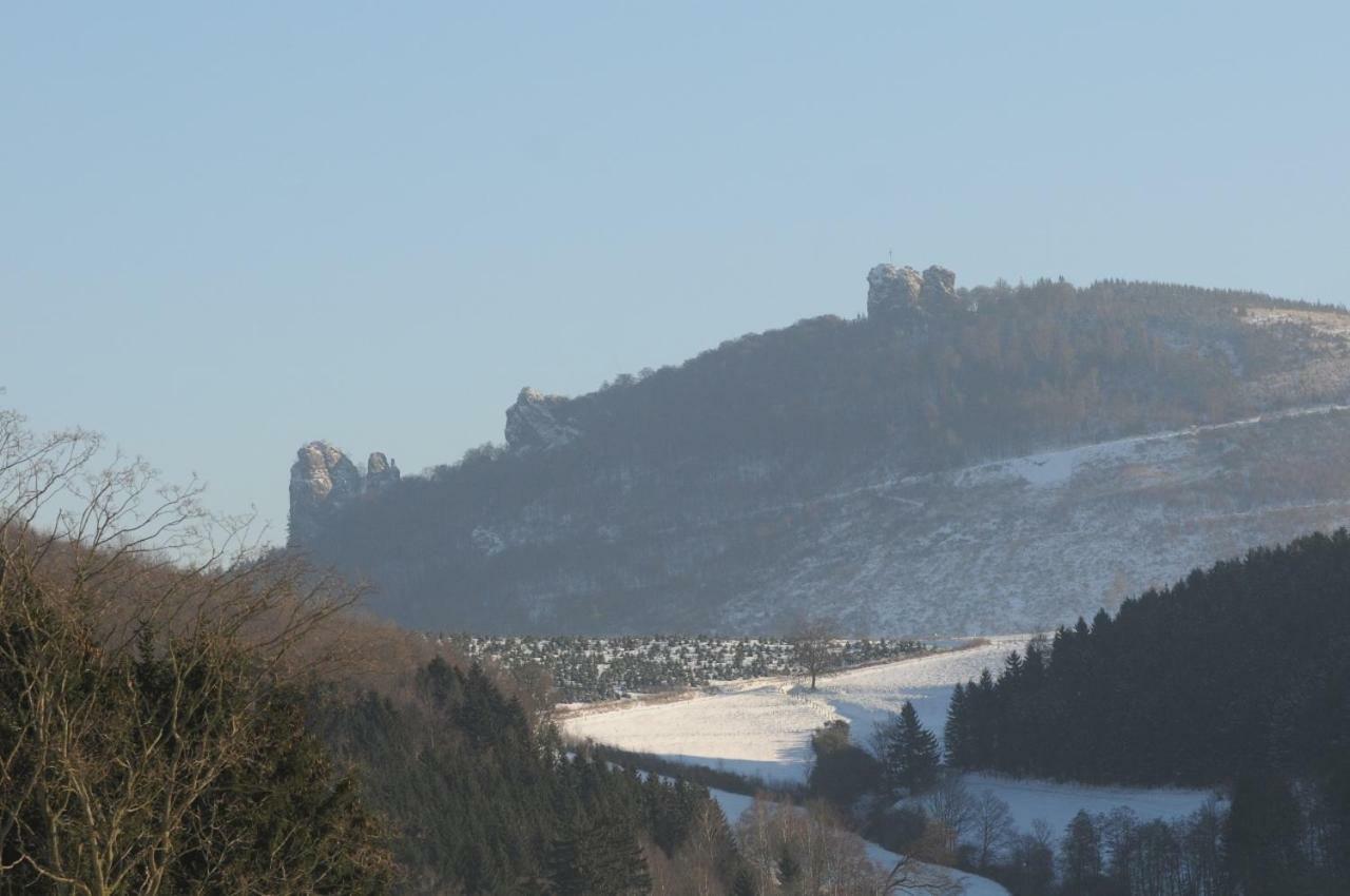 Dümpelhof Ferienwohnungen Olsberg Exterior foto