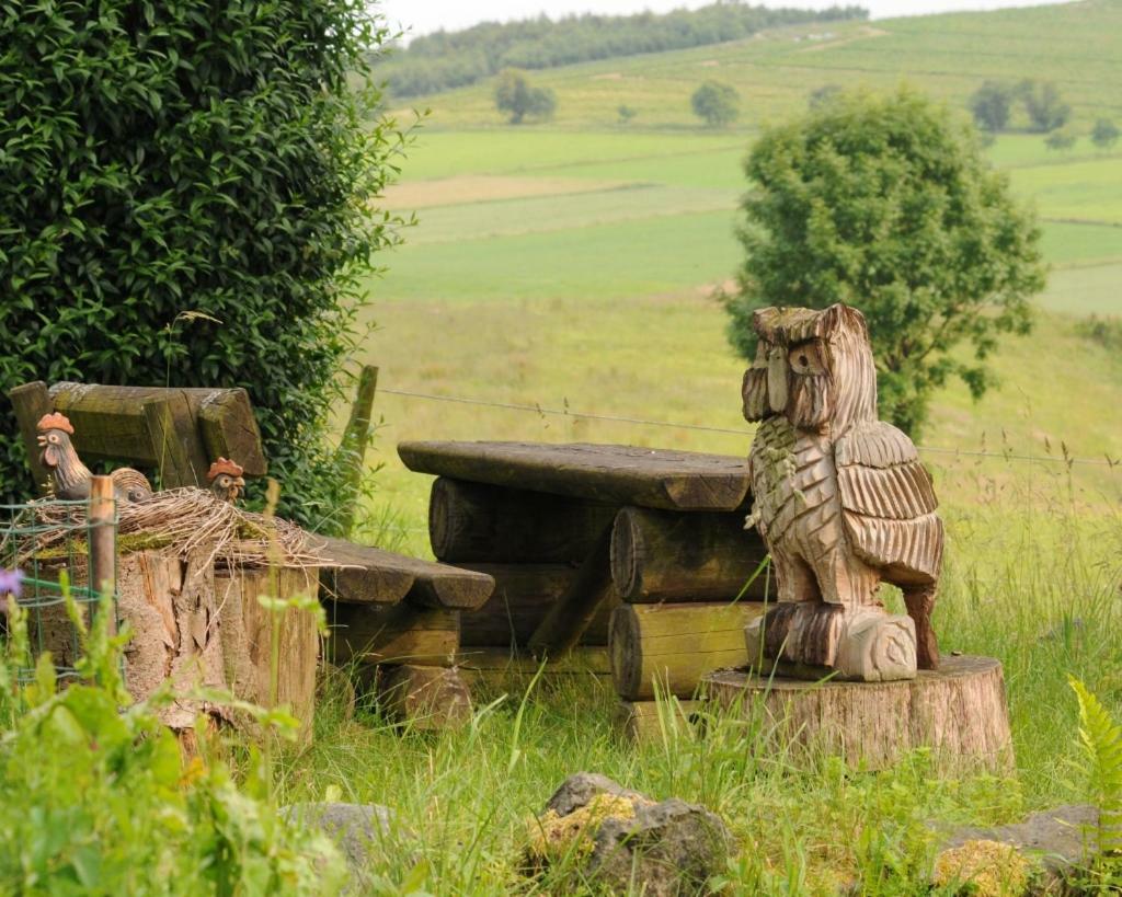 Dümpelhof Ferienwohnungen Olsberg Exterior foto